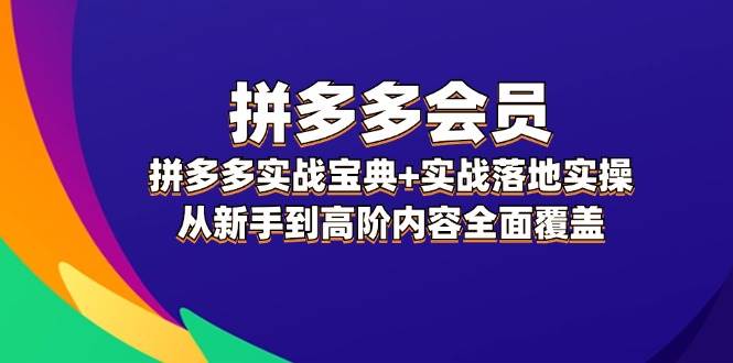 （12056期）拼多多 会员，拼多多实战宝典+实战落地实操，从新手到高阶内容全面覆盖-旺仔资源库