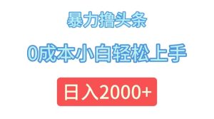 （12068期）暴力撸头条，0成本小白轻松上手，日入2000+-旺仔资源库