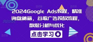 2024Google Ads教程，精准询盘秘籍，谷歌广告投放流程，数据分析与优化-旺仔资源库