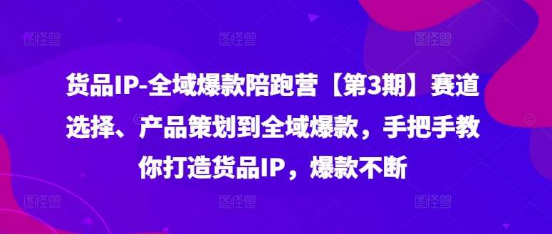 货品IP全域爆款陪跑营【第3期】赛道选择、产品策划到全域爆款，手把手教你打造货品IP，爆款不断-旺仔资源库