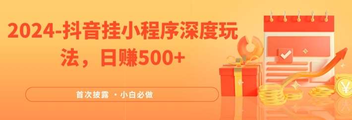 2024全网首次披露，抖音挂小程序深度玩法，日赚500+，简单、稳定，带渠道收入，小白必做【揭秘】-旺仔资源库