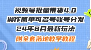 （12093期）24年8月最新玩法视频号批量带货4.0，操作简单可多号账号分发，附全套落…-旺仔资源库