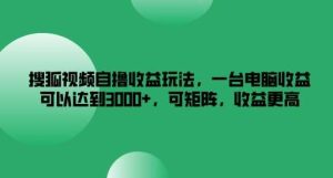 搜狐视频自撸收益玩法，一台电脑收益可以达到3k+，可矩阵，收益更高【揭秘】-旺仔资源库