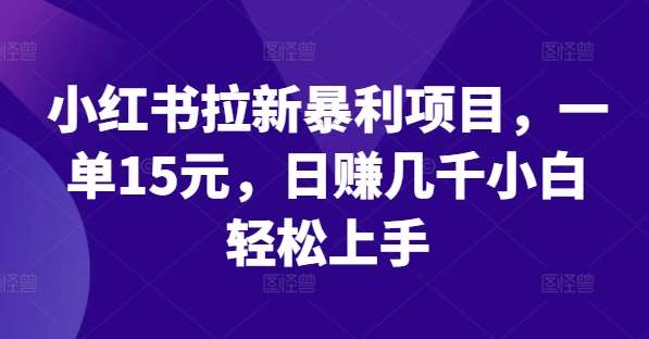 小红书拉新暴利项目，一单15元，日赚几千小白轻松上手【揭秘】-旺仔资源库