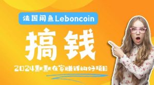 法国闲鱼Leboncoin跨境电商教程：环境邮箱电话解决产品上传及流量，悄悄赚钱-旺仔资源库
