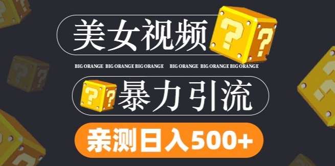 搬运tk美女视频全网分发，日引s粉300+，轻松变现，不限流量不封号【揭秘】-旺仔资源库