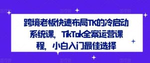 跨境老板快速布局TK的冷启动系统课，TikTok全案运营课程，小白入门最佳选择-旺仔资源库