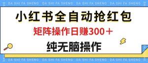（12151期）最新小红书全自动抢红包，单号一天50＋  矩阵操作日入300＋，纯无脑操作-旺仔资源库
