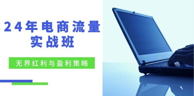 （12168期）24年电商流量实战班：无界 红利与盈利策略，终极提升/关键词优化/精准…-旺仔资源库