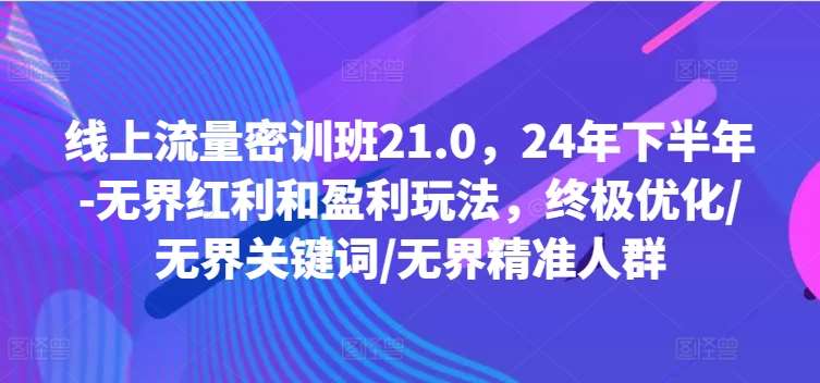 线上流量密训班21.0，24年下半年-无界红利和盈利玩法，终极优化/无界关键词/无界精准人群-旺仔资源库