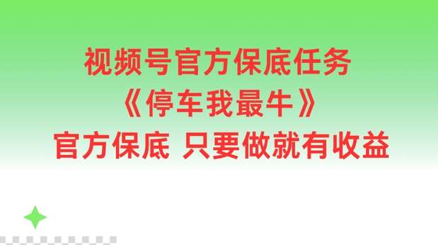 视频号官方保底任务，停车我最牛，官方保底只要做就有收益【揭秘】-旺仔资源库