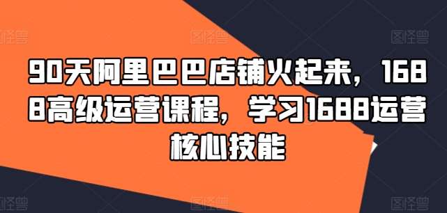 90天阿里巴巴店铺火起来，1688高级运营课程，学习1688运营核心技能-旺仔资源库