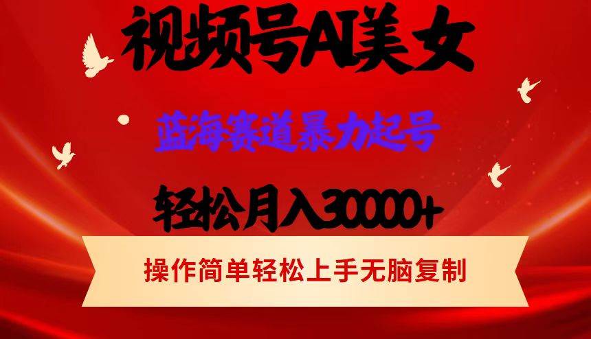 （12178期）视频号AI美女跳舞，轻松月入30000+，蓝海赛道，流量池巨大，起号猛，当…-旺仔资源库