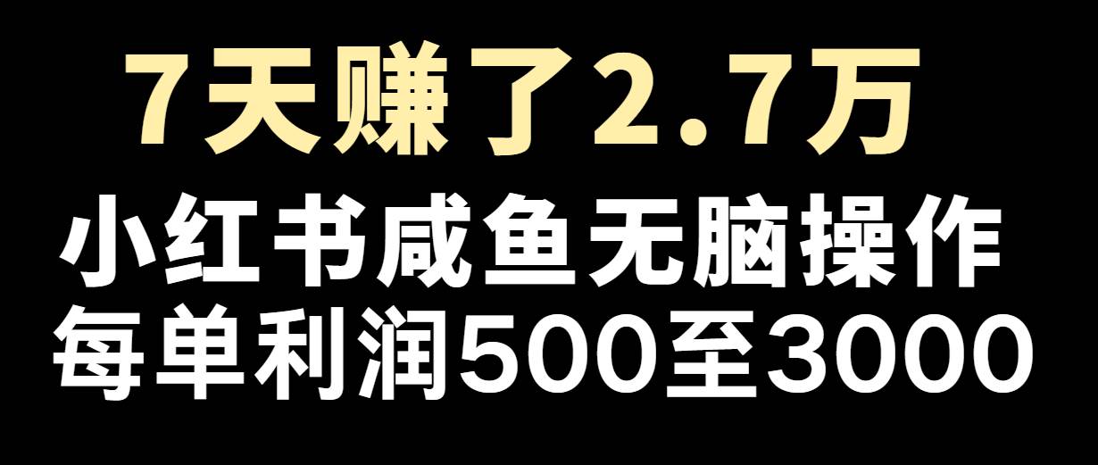 七天赚了2.7万！每单利润最少500+，轻松月入5万+小白有手就行-旺仔资源库