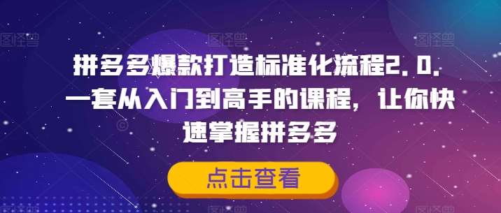 拼多多爆款打造标准化流程2.0，一套从入门到高手的课程，让你快速掌握拼多多-旺仔资源库