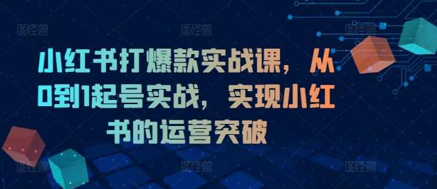 小红书打爆款实战课，从0到1起号实战，实现小红书的运营突破-旺仔资源库