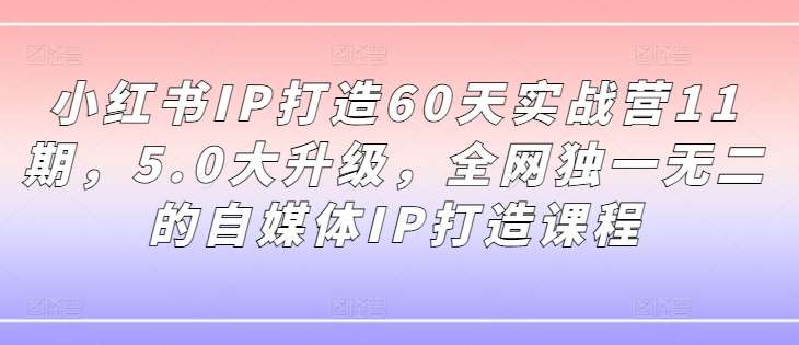 小红书IP打造60天实战营11期，5.0大升级，全网独一无二的自媒体IP打造课程-旺仔资源库