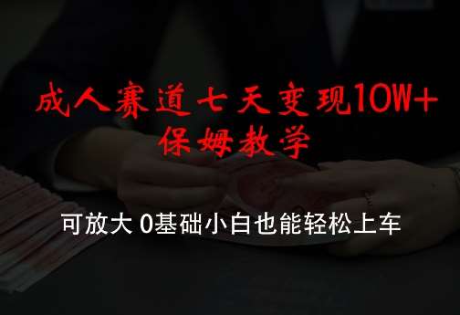 成人赛道七天变现10W+保姆教学，可放大，0基础小白也能轻松上车【揭秘】-旺仔资源库