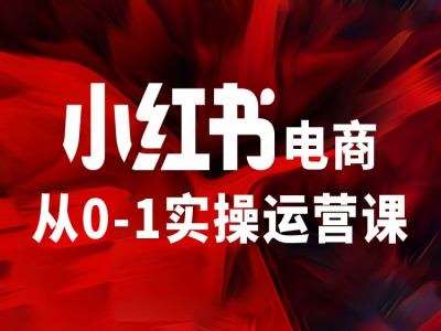 小红书电商从0-1实操运营课，让你从小白到精英-旺仔资源库