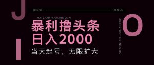 暴利撸头条,单号日入2000+,可无限扩大-旺仔资源库