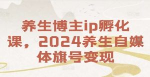 养生博主ip孵化课,2024养生自媒体旗号变现-旺仔资源库