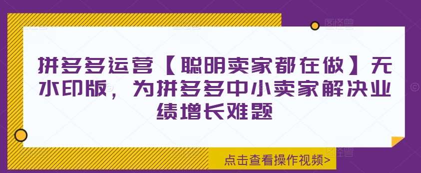 拼多多运营【聪明卖家都在做】无水印版，为拼多多中小卖家解决业绩增长难题-旺仔资源库