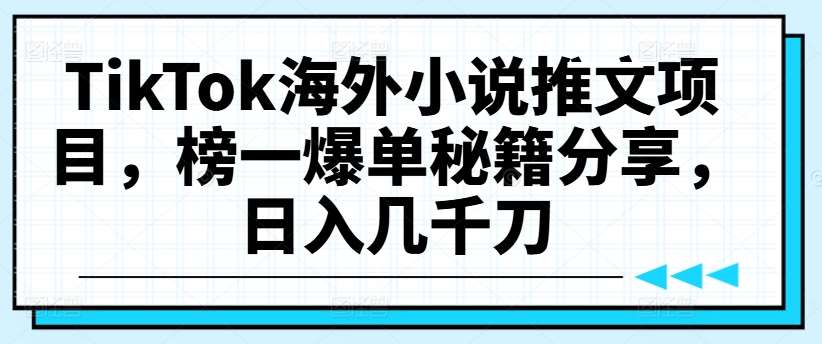 TikTok海外小说推文项目，榜一爆单秘籍分享，日入几千刀-旺仔资源库