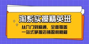 (12276期)淘系实操精英班:从入门到精通,全面覆盖,一站式掌握店铺盈利秘籍-旺仔资源库