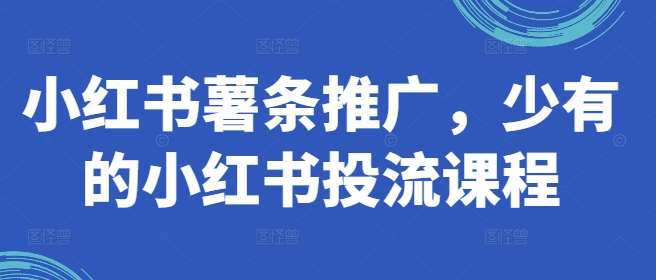 小红书薯条推广，少有的小红书投流课程-旺仔资源库