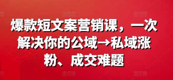 爆款短文案营销课，一次解决你的公域→私域涨粉、成交难题-旺仔资源库