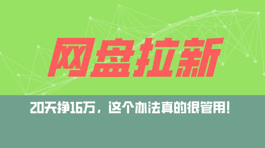 （12294期）网盘拉新+私域运营玩法，零基础入门，小白可操作，当天见效，日入5000+-旺仔资源库