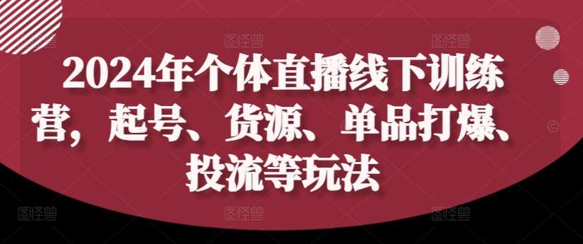 2024年个体直播训练营，起号、货源、单品打爆、投流等玩法-旺仔资源库