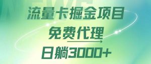 （12321期）流量卡掘金代理，日躺赚3000+，变现暴力，多种推广途径-旺仔资源库
