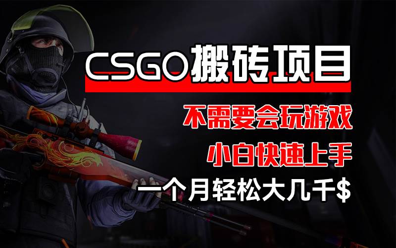 （12332期）CSGO 装备搬砖项目，操作简单，不需要会玩游戏，小白也能快速上手，一…-旺仔资源库