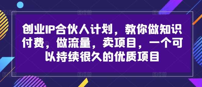 创业IP合伙人计划，教你做知识付费，做流量，卖项目，一个可以持续很久的优质项目-旺仔资源库