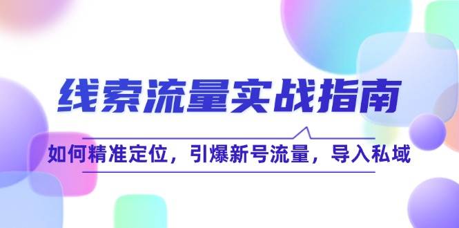 （12382期）线 索 流 量-实战指南：如何精准定位，引爆新号流量，导入私域-旺仔资源库