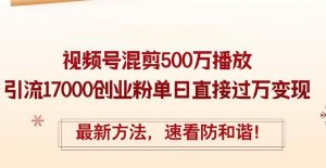 （12391期）精华帖视频号混剪500万播放引流17000创业粉，单日直接过万变现，最新方…-旺仔资源库