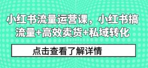 小红书流量运营课，小红书搞流量+高效卖货+私域转化-旺仔资源库