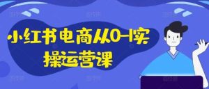 小红书电商从0-1实操运营课，小红书手机实操小红书/IP和私域课/小红书电商电脑实操板块等-旺仔资源库