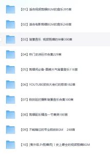 6000多款背景音乐音效视频剪辑BGM音频素材包合集-旺仔资源库