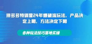 拼多多特训营24年爆破流玩法，产品决定上限，方法决定下限，各种玩法技巧落地实操-旺仔资源库