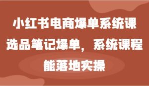 小红书电商爆单系统课-选品笔记爆单，系统课程，能落地实操-旺仔资源库