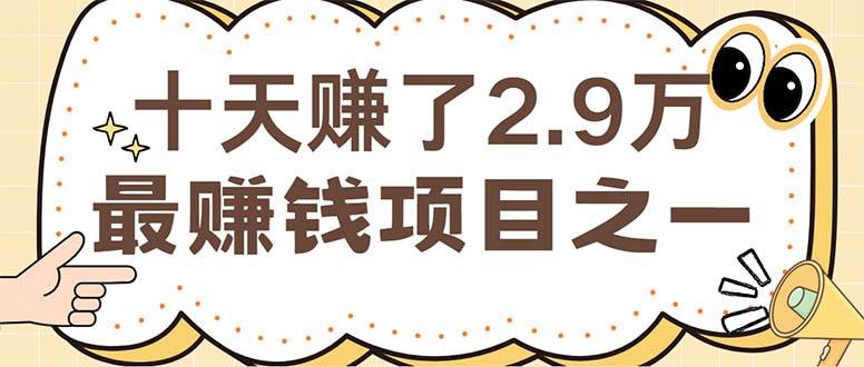 （12491期）闲鱼小红书赚钱项目之一，轻松月入6万+项目-旺仔资源库