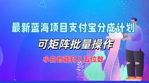 最新蓝海项目支付宝分成计划，可矩阵批量操作，小白也能月入五位数-旺仔资源库