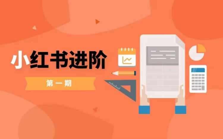 小红书进阶篇，零基础小白实战课，普通人变现的课程-旺仔资源库