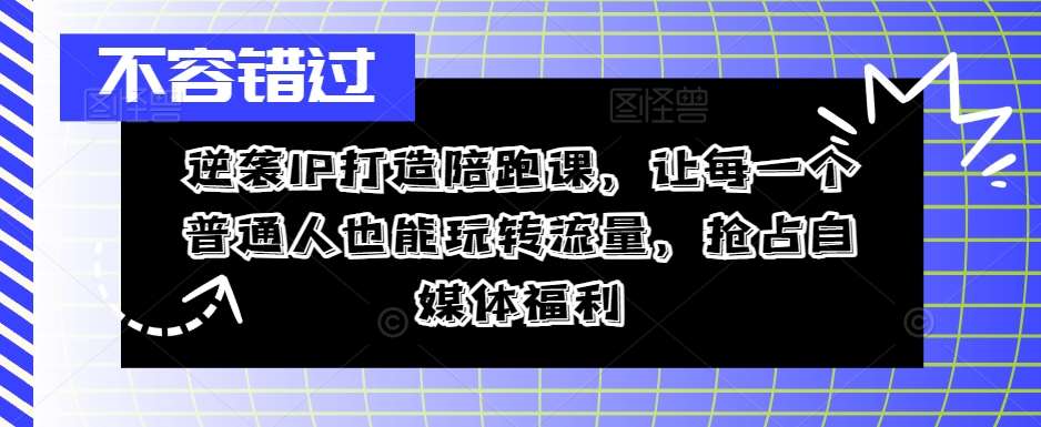 逆袭IP打造陪跑课，让每一个普通人也能玩转流量，抢占自媒体福利-旺仔资源库