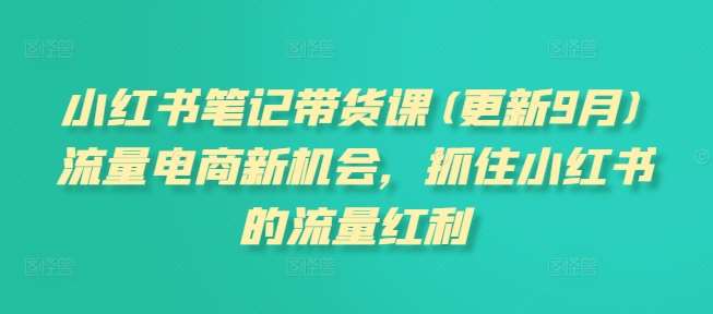 小红书笔记带货课(更新9月)流量电商新机会，抓住小红书的流量红利-旺仔资源库