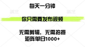 （12538期）矩阵单日1000+，你只需要发布视频，用时一分钟，无需剪辑，无需拍摄-旺仔资源库