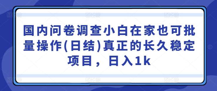 国内问卷调查小白在家也可批量操作(日结)真正的长久稳定项目，日入1k【揭秘】-旺仔资源库