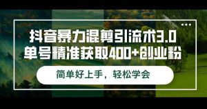 (12630期)抖音暴力混剪引流术3.0单号精准获取400+创业粉简单好上手,轻松学会-旺仔资源库